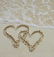 blooming relationship