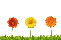 spring love